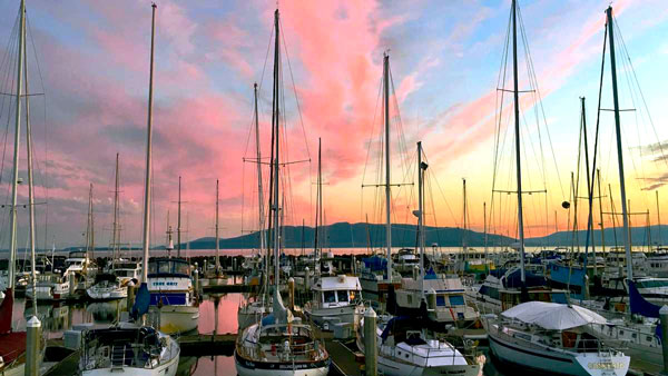 Masts of sail boats moored at Bellingham Bay marina create a dramatic silhouette against a pink, orange, and blue sky at sunset.