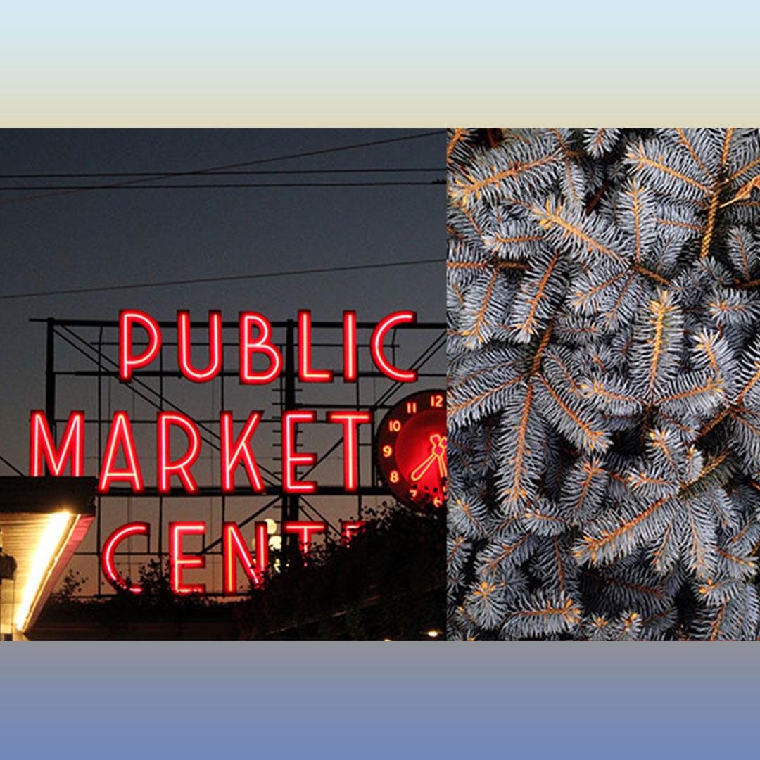 Left side: red neon Public Market sign glows against the night sky in Seattle. Right side: close up of grey pine tree needles.