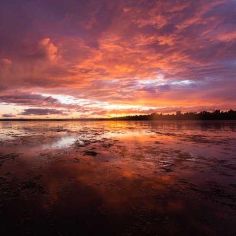 Sunset on Bellingham Bay